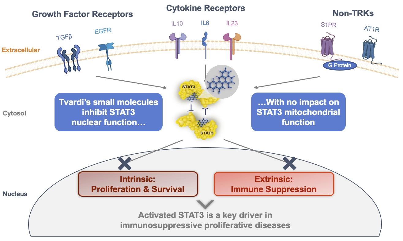 tvardi Therapeutics -Company Overview-Hepatocellular Carcinoma Graphics