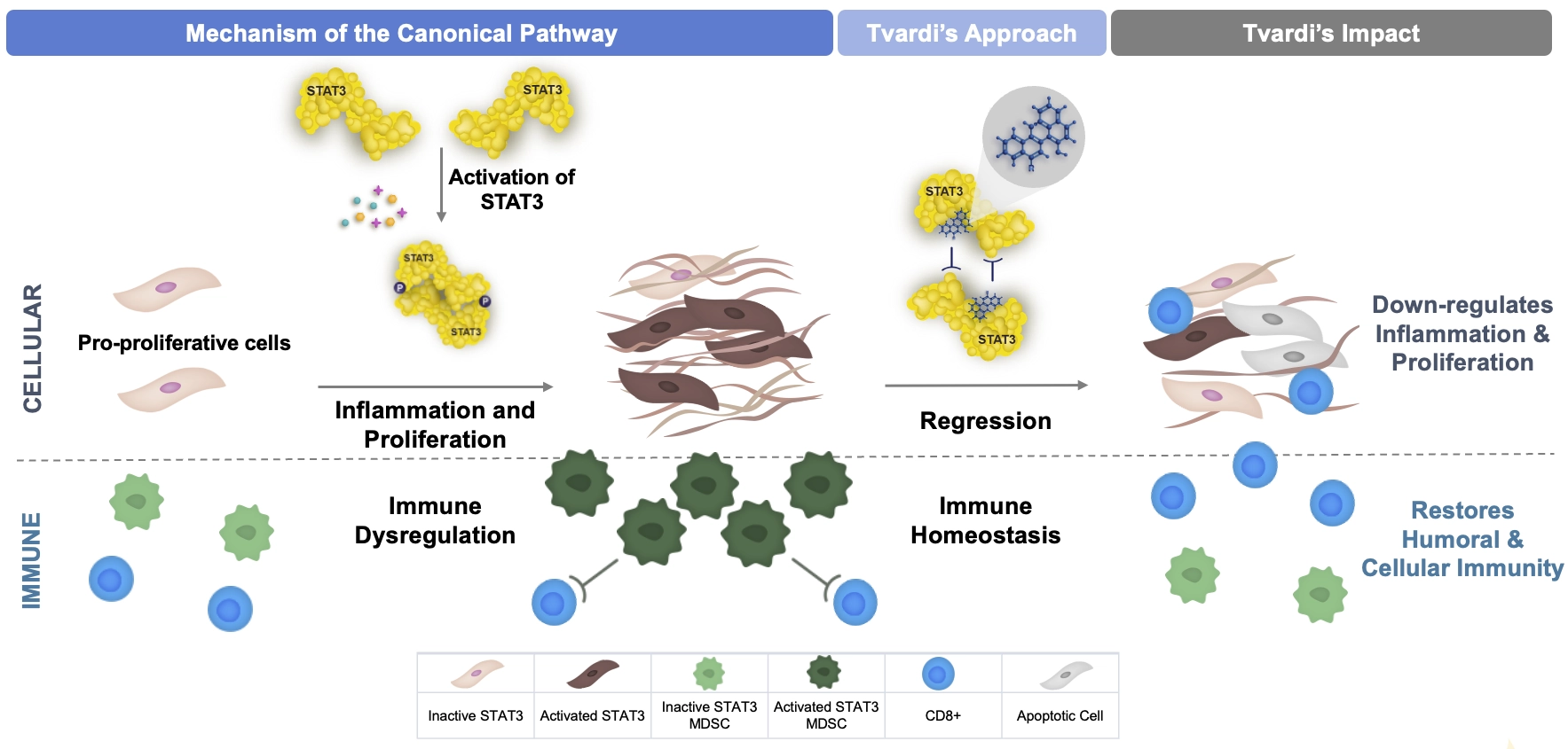 Tvardi Therapeutics Our Science ChartTv